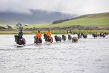 Iceland-Northern Tours-Northern Exposure Lake Myvatn